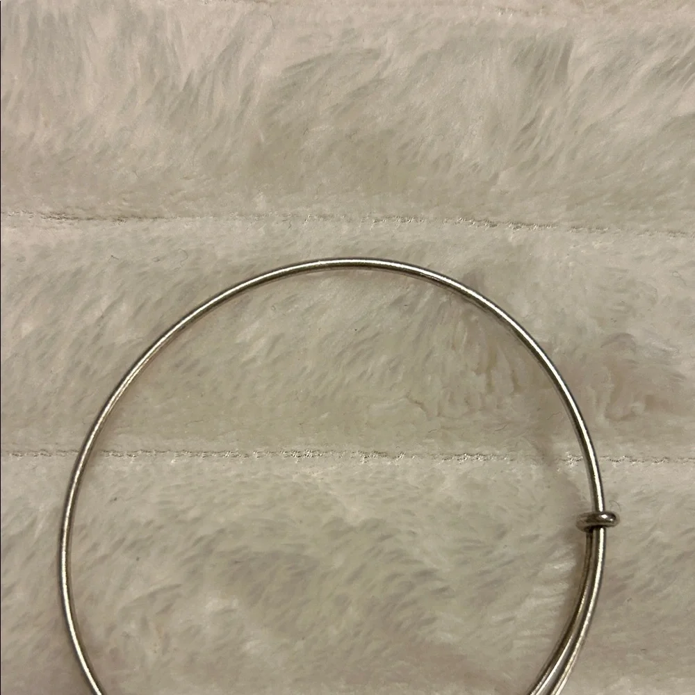 RARE Alex and Ani Walt Disney World Bracelet - Picture 3 of 13
